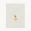 faire-part mariage  tutti frutti composition moderne fruits